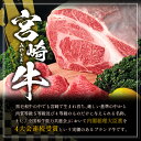 宮崎県新富町の画像3