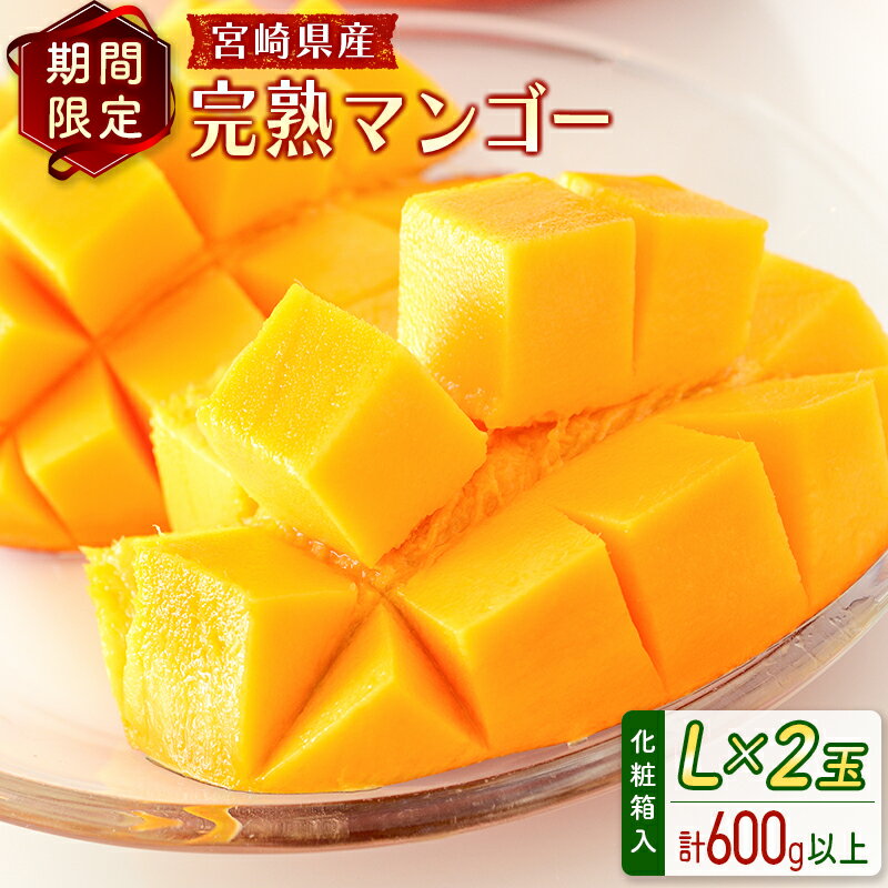 【ふるさと納税】宮崎県産 完熟マンゴー＜L×2玉 (計600g以上) ＞化粧箱入 フルーツ くだもの 国産のサムネイル