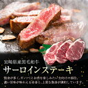 宮崎県新富町の画像3