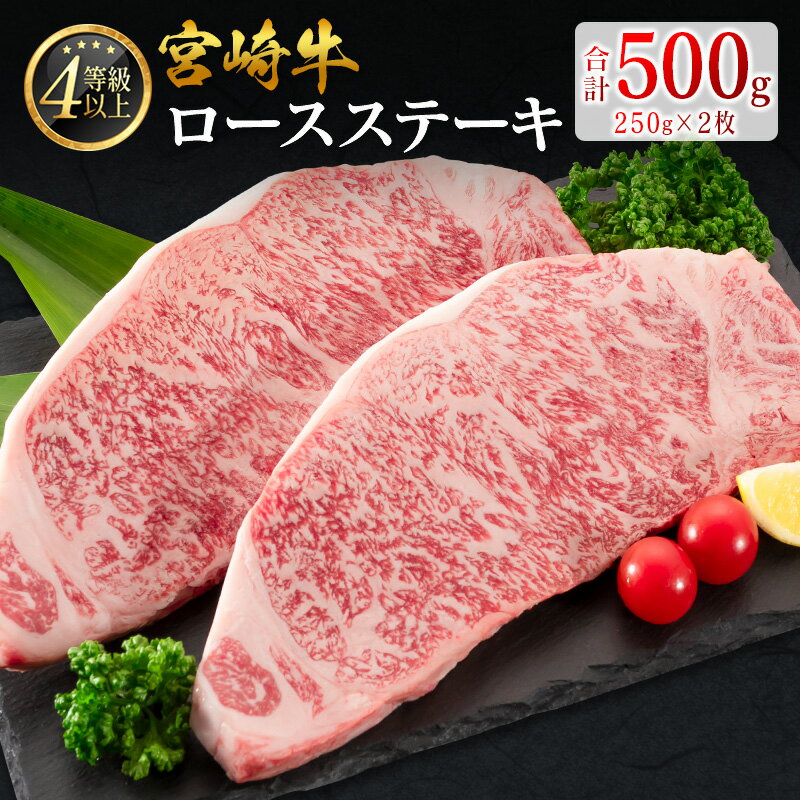 ＼レビューキャンペーン実施中/宮崎牛 ロースステーキ 計500g(250g×2枚)肉質等級4等級 国産 人気 おすすめ