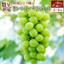 【ふるさと納税】<数量限定>先行予約 竹村ぶどう園 完熟 シャインマスカット 計2kg以上(3〜4房)国産 白葡萄