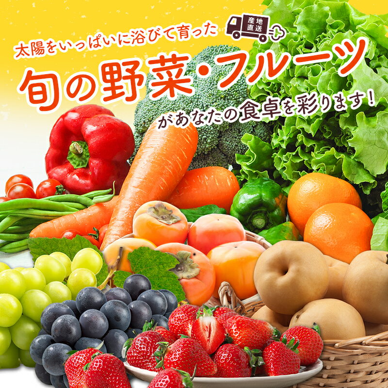 【ふるさと納税】産地直送！旬の野菜・フルーツ＆野菜加工品 セット お試し 1回お届け おまかせ 詰合せ 宮崎県新富町産