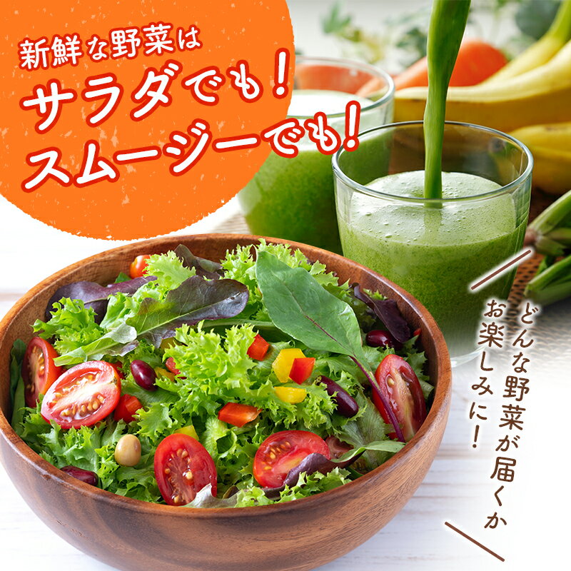 【ふるさと納税】産地直送！旬の野菜・フルーツ＆野菜加工品 セット お試し 1回お届け おまかせ 詰合せ 宮崎県新富町産
