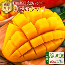 【ふるさと納税】数量限定 宮崎県産 完熟マンゴー<太陽のタマゴ>5L×1玉(650g以上)※2026年4月下旬配送開始 化粧箱入 フルーツ くだもの