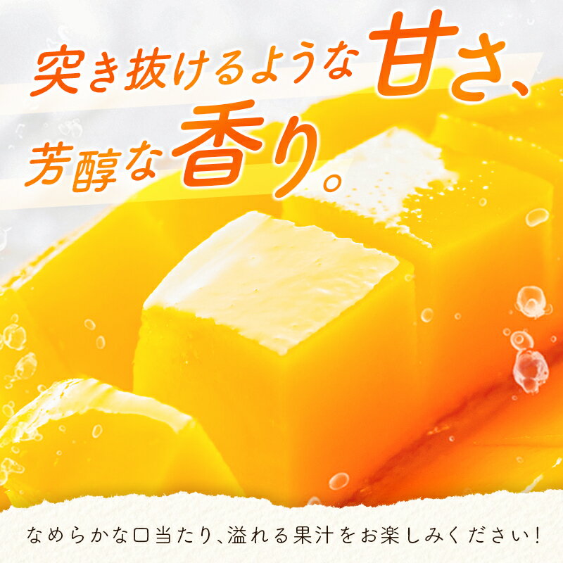 【ふるさと納税】数量限定 宮崎県産 完熟マンゴー＜太陽のタマゴ＞5L×1玉（650g以上）※2026年4月下旬配送開始 化粧箱入 フルーツ くだもの