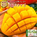 【ふるさと納税】数量限定 宮崎県産 完熟マンゴー<太陽のタマゴ>4L×2玉 計1kg以上 ※2026年4月下旬配送開始 化粧箱入 フルーツ くだもの