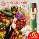 【ふるさと納税】産地直送!旬の野菜(5〜8種類)&ドレッシング セット 全6回 隔月定期便 2か月に1回お届け おまかせ 詰合せ 宮崎県新富町産