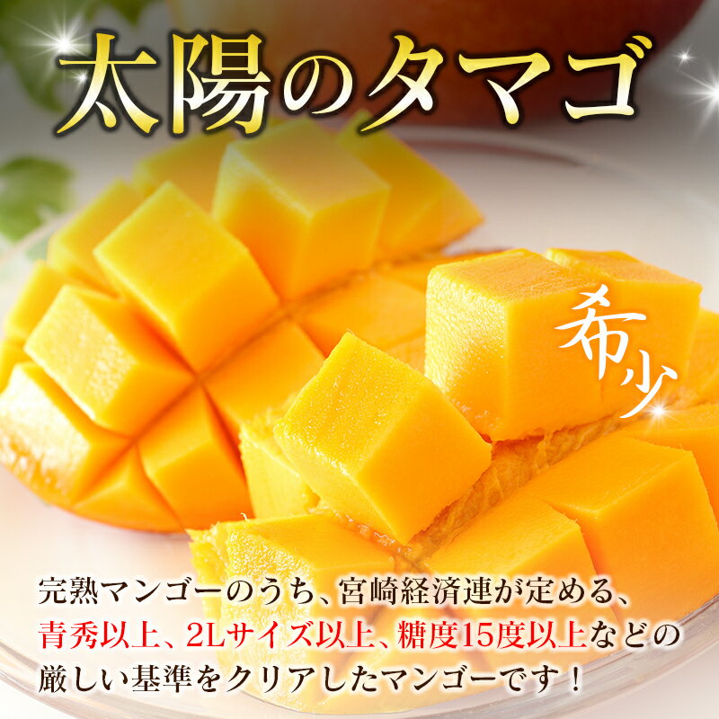 【ふるさと納税】宮崎特産「太陽のタマゴ2L×1玉」お届け定期便（全3回）計3玉 特産 国産 果物 フルーツ 旬 産地直送