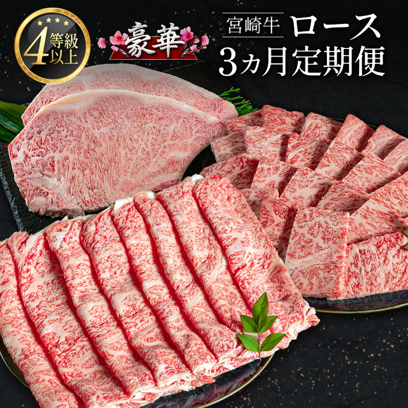 ڤդ뤵Ǽǡ۹ڵܺ  3   ơ BBQ  ܺ긩