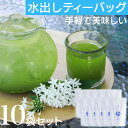 【ふるさと納税】宮崎日本茶専門店 特撰水出し茶ティーバッグ(5g×20p/1本)計10本 お茶 緑茶 ギフト お取り寄せ