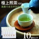 【ふるさと納税】宮崎日本茶専門店 極上煎茶100g 10本セット お茶 緑茶 ギフト お取り寄せ