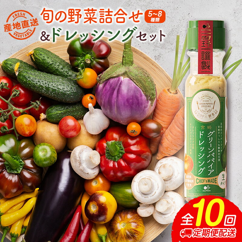 15位! 口コミ数「0件」評価「0」産地直送！旬の野菜（5～8種類）＆ドレッシング セット 10か月 定期便 おまかせ 詰合せ 宮崎県新富町産