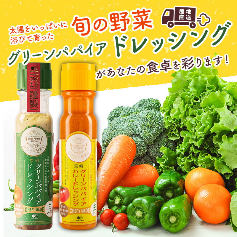 【ふるさと納税】産地直送！旬の野菜（5〜8種類）＆ドレッシング セット 10か月 定期便 おまかせ 詰合せ 宮崎県新富町産