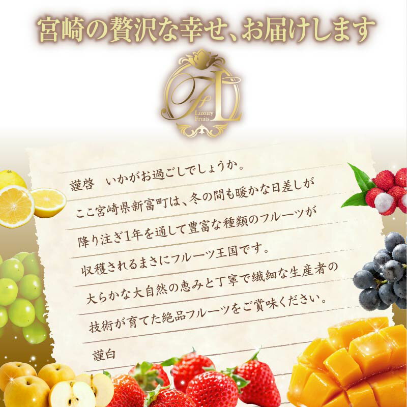 【ふるさと納税】旬のくだもの定期便 「極上コース」 全12回 マンゴー いちご マスカット 国産 宮崎