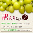 宮崎県新富町の画像2