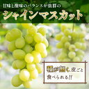 宮崎県新富町の画像3