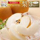 【ふるさと納税】<期間・数量限定>稲妻果樹園の『梨』3kg以上(幸水・あきづき・豊水のいずれか)宮崎県新富町産