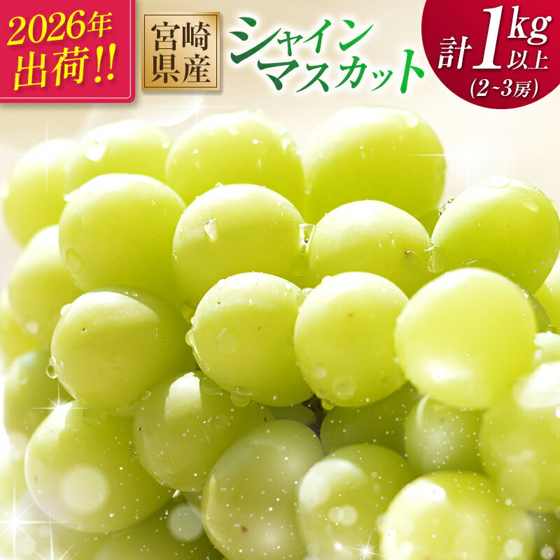 [2026年出荷]先行予約 シャインマスカット 2〜3房 計1kg以上 国産 期間限定 くだもの