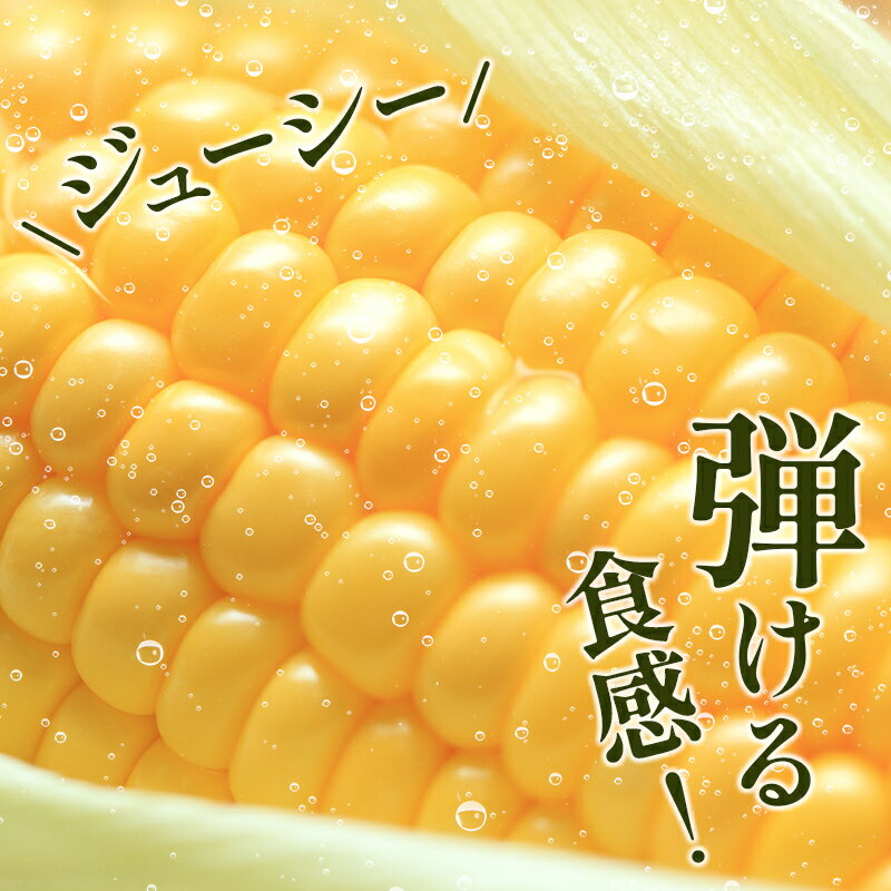 【ふるさと納税】宮崎県産 朝採れ ゴールドラッシュ 約7kg（2Lサイズ×20本） ※2026年5月中旬発送開始 とうもろこし 旬 野菜