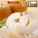 【ふるさと納税】<期間・数量限定>稲妻果樹園の『梨』4kg以上(幸水・あきづき・秀玉のいずれか)宮崎県新富町産