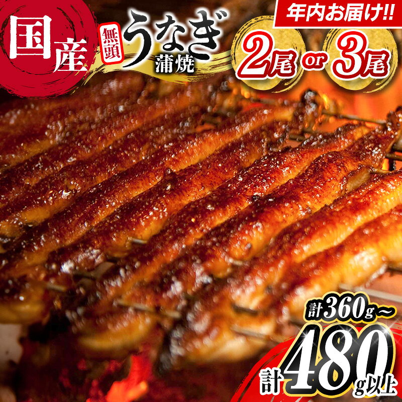 ＼レビューキャンペーン実施中/[今なら年内お届け!!]選べる 数量 うなぎ 鰻楽 国産 蒲焼 2尾 3尾 無頭 高評価 おすすめ 冷凍 簡単調理 個包装 鰻 魚介 贈答品 ギフト 贈り物