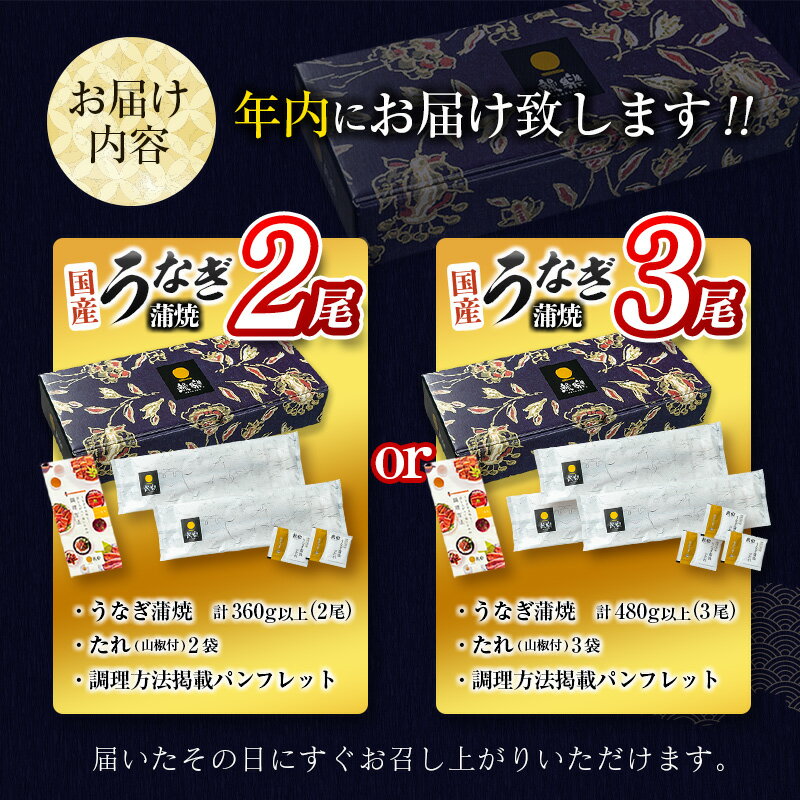 【ふるさと納税】＼レビューキャンペーン実施中／＜今なら年内お届け!!＞選べる 数量 うなぎ 鰻楽 国産 蒲焼 2尾 3尾 無頭 高評価 おすすめ 冷凍 簡単調理 個包装 鰻 魚介 贈答品 ギフト 贈り物