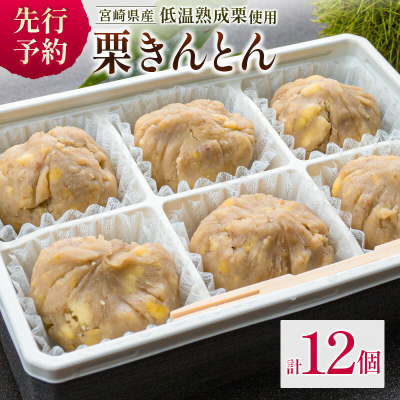 【ふるさと納税】宮崎県産 低温熟成栗100%［栗きんとん］計12個 おやつ 甘い お取り寄せ