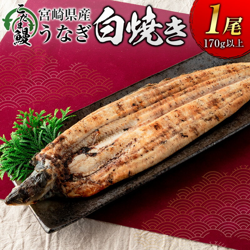 【ふるさと納税】「こだま鰻」宮崎県産 うなぎ白焼き（1尾）170g以上 国産 真空パック(4)
