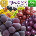 【ふるさと納税】朝採れ 旬の ぶどう セット 合計800以上(3~4房) おまかせ 詰め合わせ 葡萄 食べくらべ 国産 ご自宅 ご家庭用(約200~500g / 1房)
