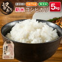 【ふるさと納税】\レビューキャンペーン実施中/<訳あり>【令和7年産 新米】コシヒカリ 5kg 無洗米 宮崎県産 新富町産 早期米 早場米 夏の新米 乾式