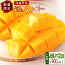 【ふるさと納税】<数量限定>宮崎県産 完熟マンゴー2L×2玉(計700g以上)※2026年4月下旬配送開始 化粧箱入 フルーツ くだもの