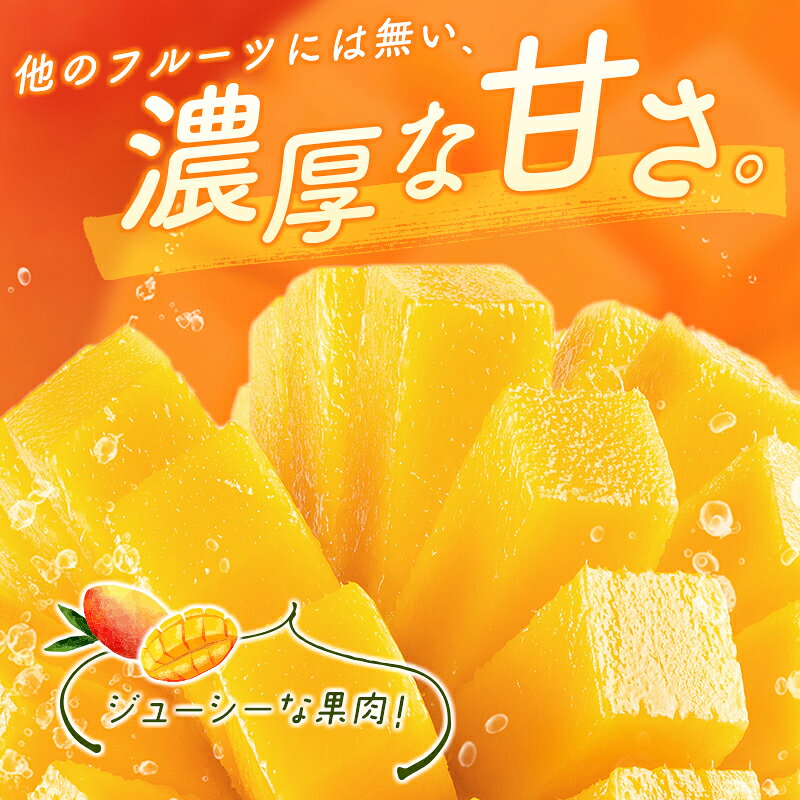 【ふるさと納税】＜数量限定＞宮崎県産 完熟マンゴー4L×2玉（計1kg以上）※2026年4月下旬配送開始 化粧箱入 フルーツ くだもの
