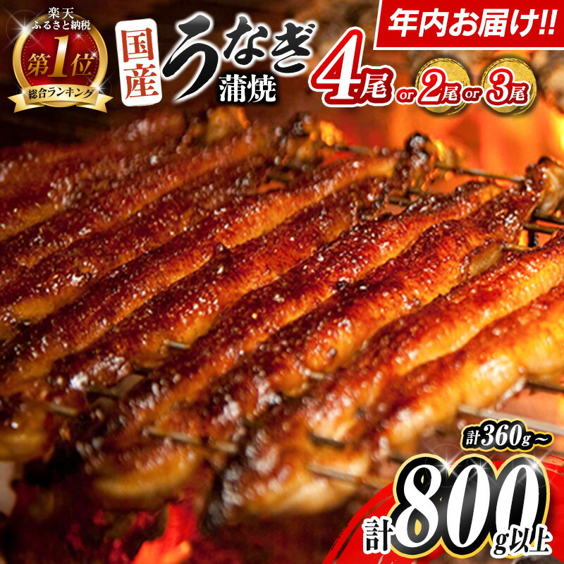 【ふるさと納税】総合ランキング1位獲得! ＼レビューキャンペーン実施中／＜今なら年内お届け!!＞選べ ...