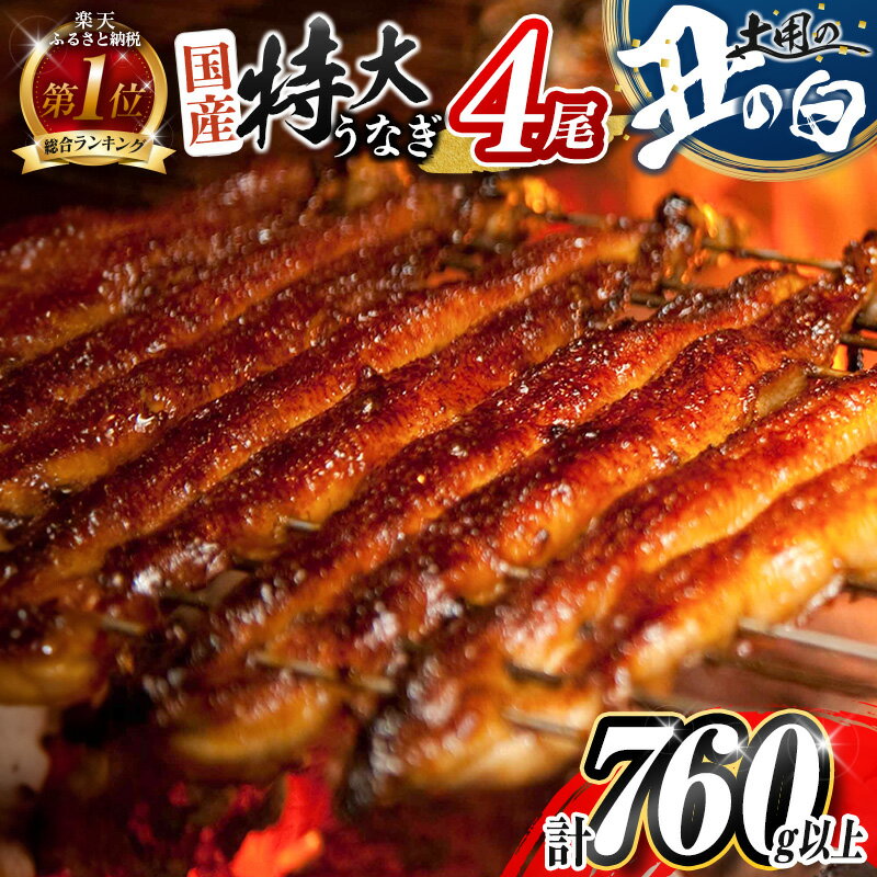 【ふるさと納税】総合ランキング1