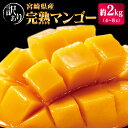 【ふるさと納税】宮崎県産「訳あり」完熟 マンゴー 約2kg(4~8玉)先行予約 南国 フルーツ 果物