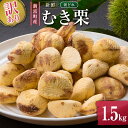 【ふるさと納税】<訳あり>期間限定 国産 新鮮朝どれ(むき栗)1.5kg 産地直送 お取り寄せ 宝珠栗 宮崎県新富町産