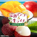 【ふるさと納税】完熟マンゴー&生ライチ トロピカルセット ≪2026年産≫ 宮崎県産 数量限定 人気 フルーツ 果物 詰め合わせ 化粧箱入り