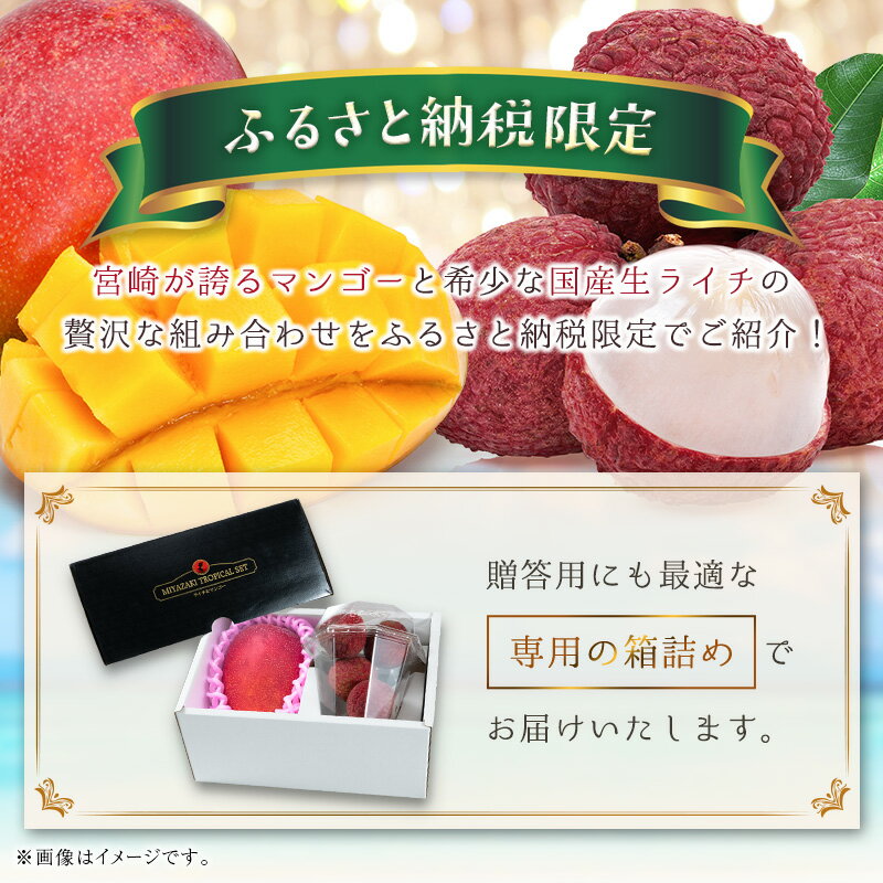 【ふるさと納税】完熟マンゴー＆生ライチ トロピカルセット ≪2026年産≫ 宮崎県産 数量限定 人気 フルーツ 果物 詰め合わせ 化粧箱入り