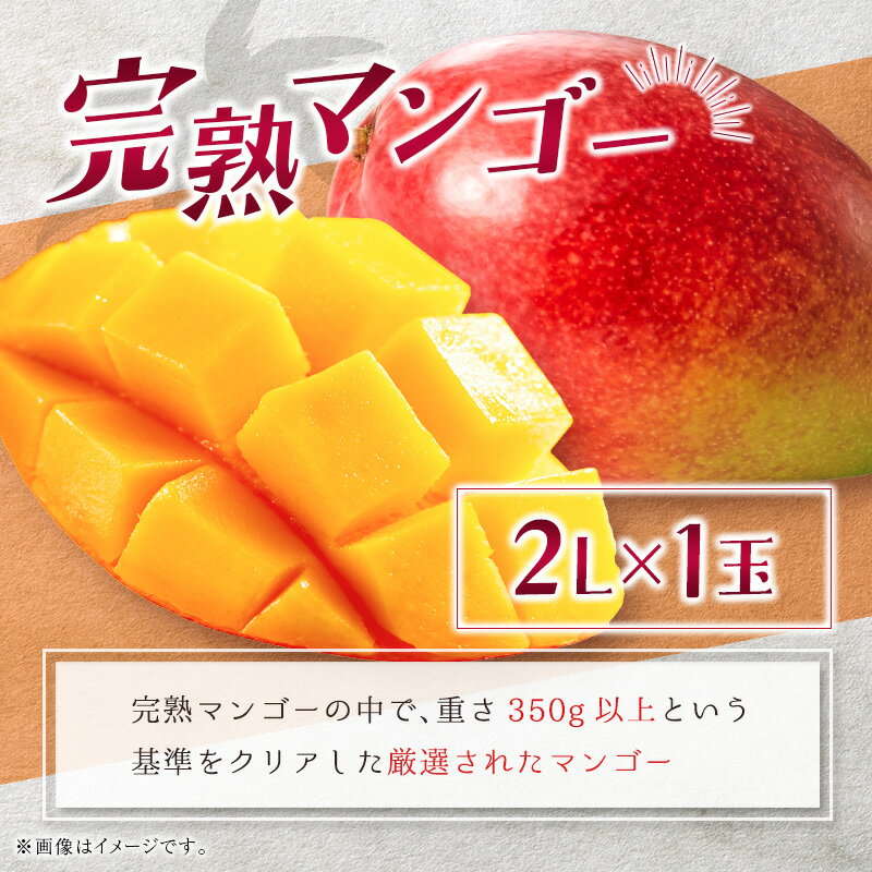 【ふるさと納税】完熟マンゴー＆生ライチ トロピカルセット ≪2026年産≫ 宮崎県産 数量限定 人気 フルーツ 果物 詰め合わせ 化粧箱入り