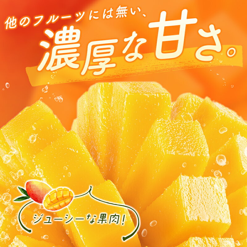 【ふるさと納税】＜数量限定＞宮崎県産 完熟マンゴー2L×3玉（計1kg以上）※2026年4月下旬配送開始 化粧箱入 フルーツ くだもの