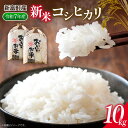 【ふるさと納税】新米コシヒカリ10kg ※令和7年産 宮崎県新富町産
