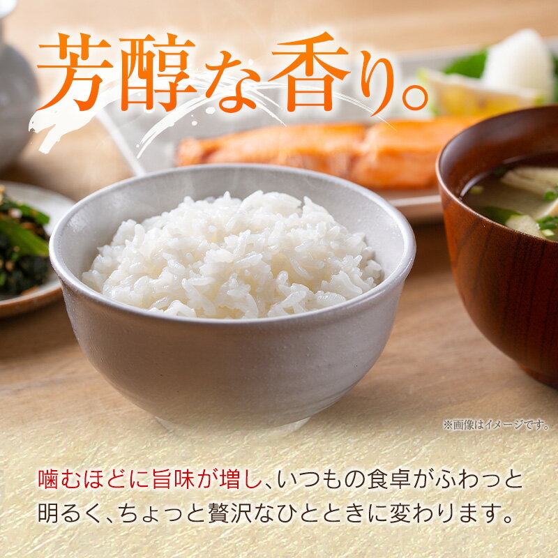 【ふるさと納税】＜訳あり＞【令和7年産 新米】コシヒカリ 10kg 無洗米 宮崎県産 新富町産 早期米 早場米 夏の新米 乾式