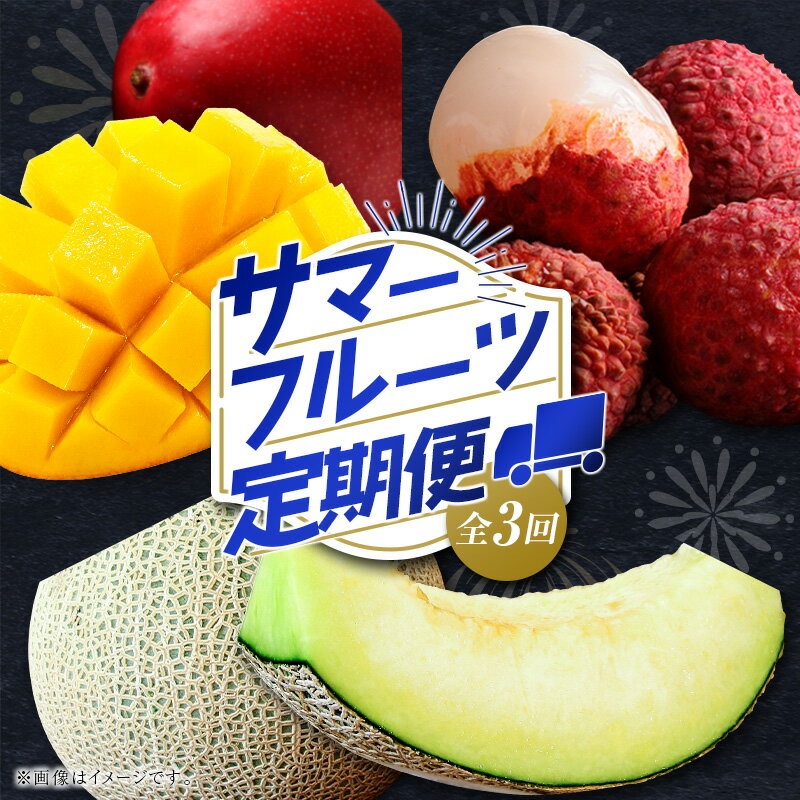 【ふるさと納税】サマーフルーツ定期便 全3回<メロン・マンゴー・ライチ> ※2026年5月開始 旬 果物