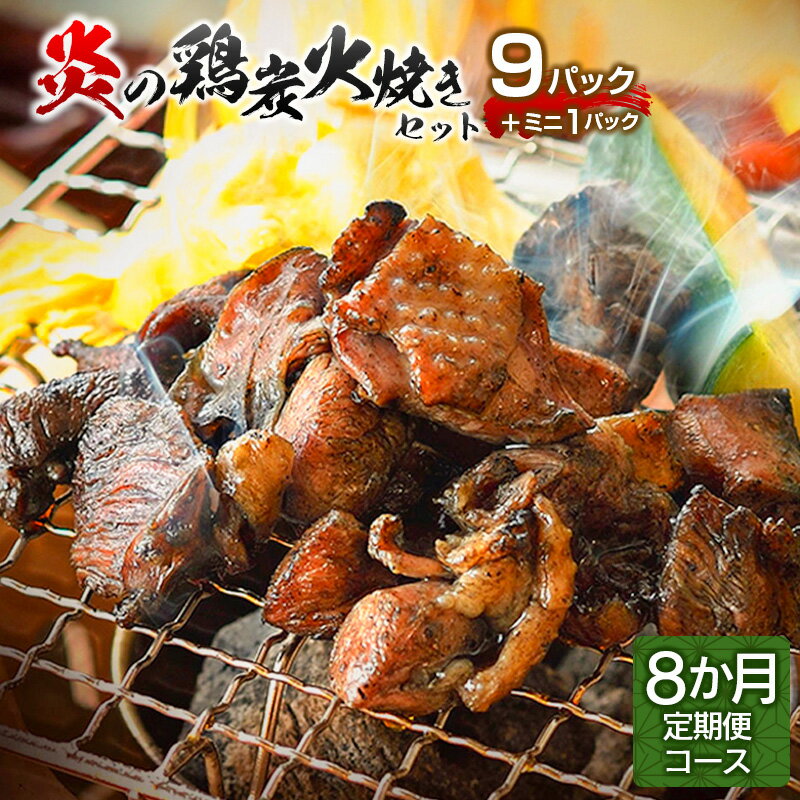 【ふるさと納税】炎の鶏炭火焼きセット<9パック+ミニ1パック...