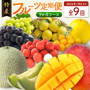 【ふるさと納税】<数量限定>新富町 特産フルーツ 詰め合わせ 定期便 9か月コース くだもの マンゴー ライチ メロン シャインマスカット ぶどう 柑橘 国産