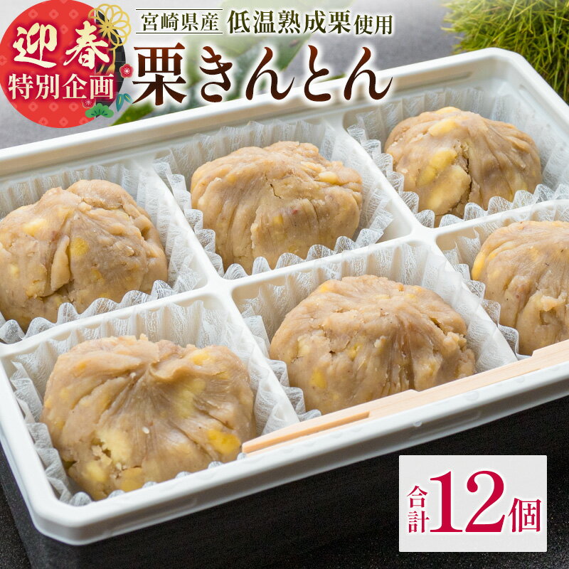 [迎春特別企画]栗きんとん 6個入り 2セット(限定30セット)※2025年12月28日出荷 おやつ 甘い お取り寄せ 数量限定