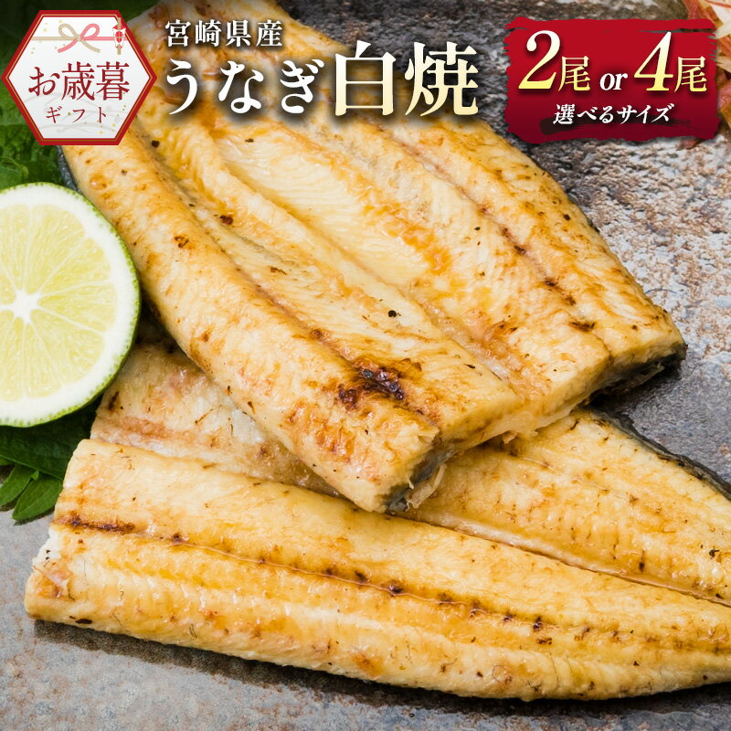 【ふるさと納税】お歳暮対応 尾数 サイズが選べる「玄人の一品」 国産 うなぎ 白焼き 人気 ギフト 宮崎県産鰻 蒲焼きタレ付 配送日指定可 有頭 熨斗 贈答品