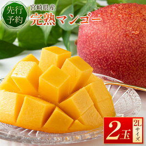 【ふるさと納税】《楽天限定》宮崎県産 完熟マンゴー2Lサイズ2玉