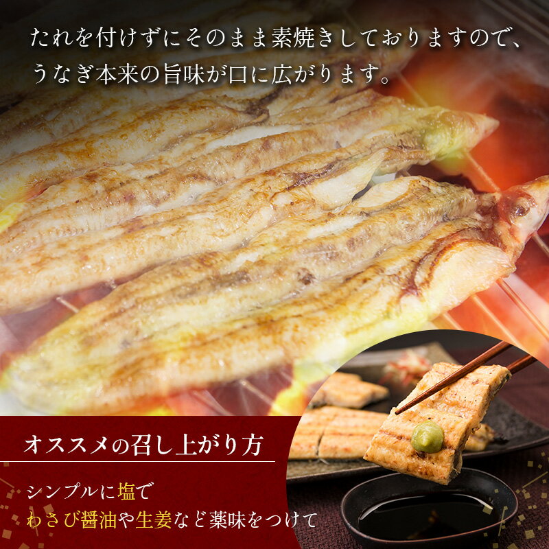 秋田 比内地鶏クリームシチュー 食品 ギフト プレゼント 贈答 熨斗 のし 贈り物 記念日 お祝い 冠婚葬祭 内祝 御祝 無地 出産内祝 結婚内祝 御見舞 快気祝 御仏前 志 お供(代引不可)【送料無料】
