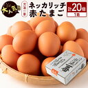 4位! 口コミ数「46件」評価「4.52」＜児湯養鶏自慢の卵＞ネッカリッチ赤たまご「児湯一番」20個 1箱